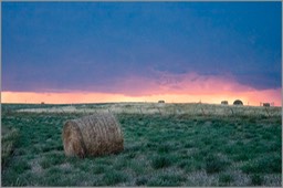 Hay bale WEB